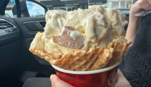 Cold Stone Creamery Commack New York review