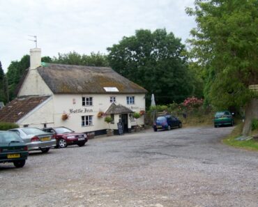 Why The World Nettle Eating Championship Is the Most Painful Food Contest