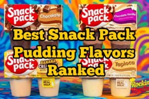 Snack Pack pudding cups ranked from worst to best including chocolate, banana cream pie, chocolate vanilla swirl, and tapioca